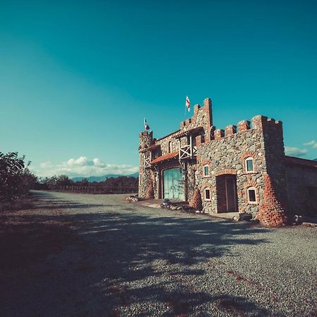 Chateau Bruale Tkhilistskaro Bagian luar foto