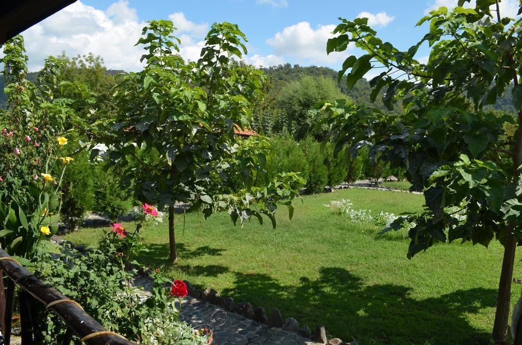 Chateau Bruale Tkhilistskaro Bagian luar foto