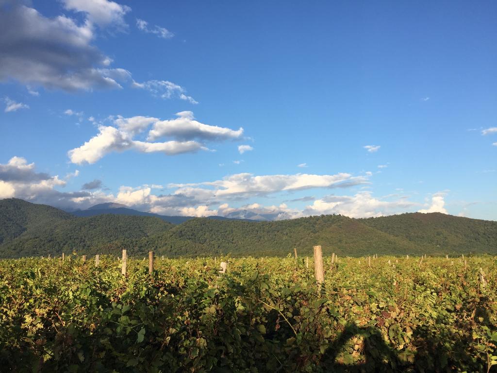 Chateau Bruale Tkhilistskaro Bagian luar foto