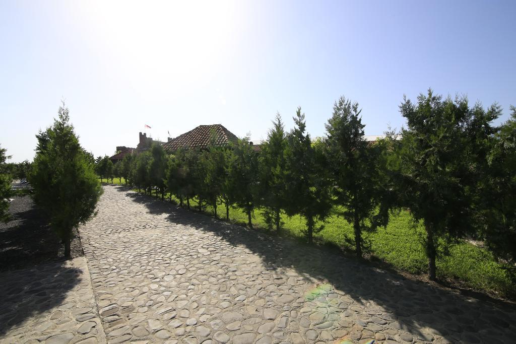 Chateau Bruale Tkhilistskaro Bagian luar foto