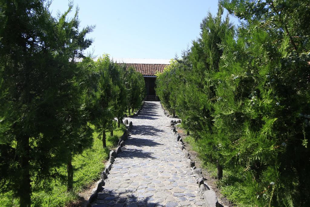 Chateau Bruale Tkhilistskaro Bagian luar foto